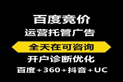 行业领先企业的网络推广与竞价经验